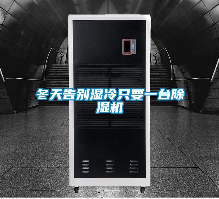 冬天告別濕冷只要一臺除濕機
