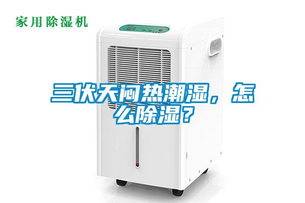 三伏天悶熱潮濕，怎么除濕？