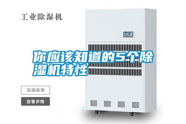 你應(yīng)該知道的5個除濕機特性
