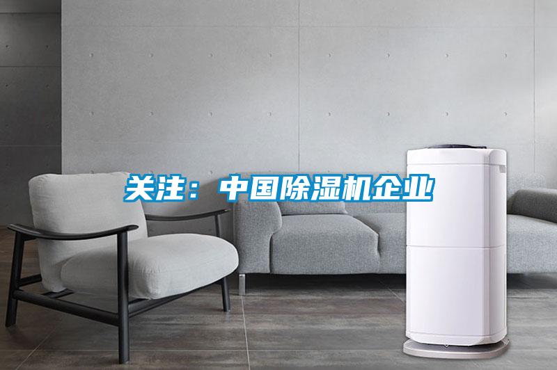 關注：中國除濕機企業