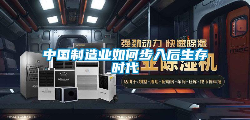中國制造業如何步入后生存時代