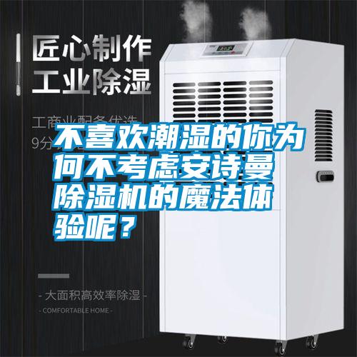 不喜歡潮濕的你為何不考慮安詩曼除濕機的魔法體驗呢？