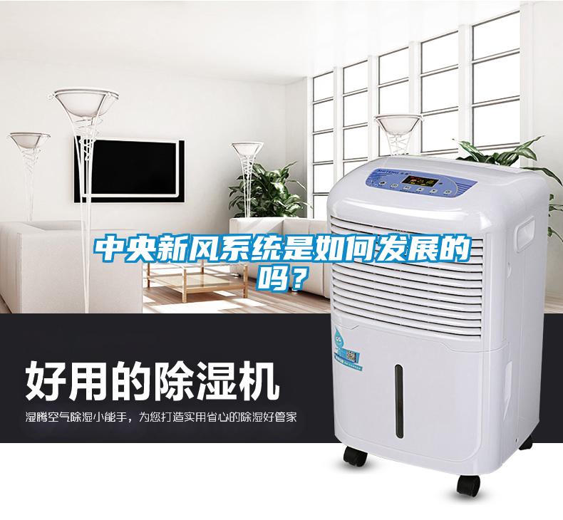 中央新風系統是如何發展的嗎？