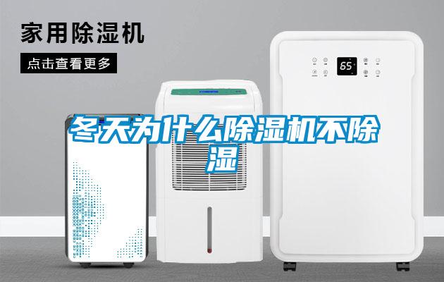 冬天為什么除濕機不除濕