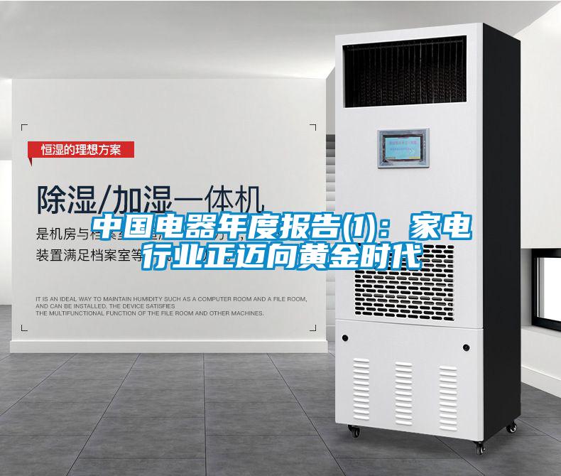 中國電器年度報告(1)：家電行業正邁向黃金時代