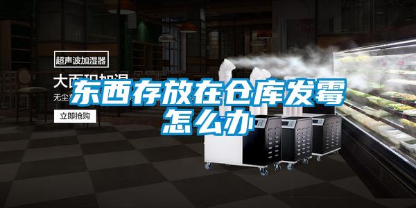 東西存放在倉庫發霉怎么辦