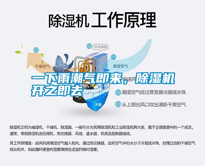 一下雨潮氣即來，除濕機開之即去