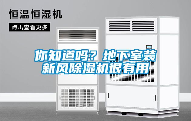 你知道嗎？地下室裝新風除濕機很有用
