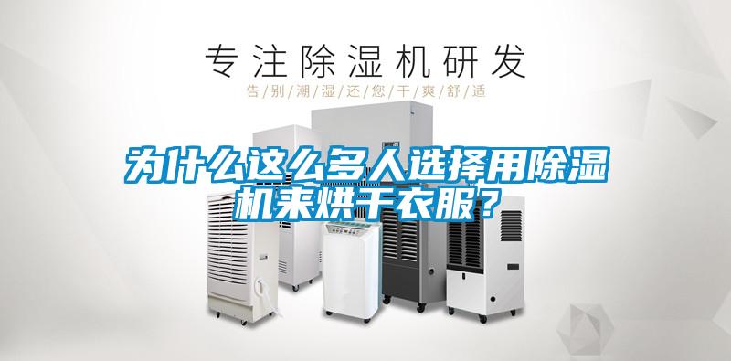 為什么這么多人選擇用除濕機來烘干衣服？