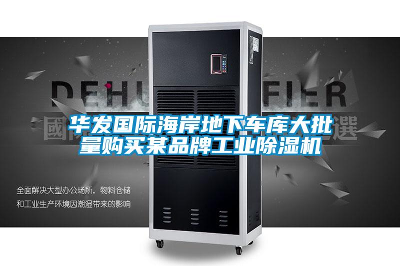 華發國際海岸地下車庫大批量購買某品牌工業除濕機