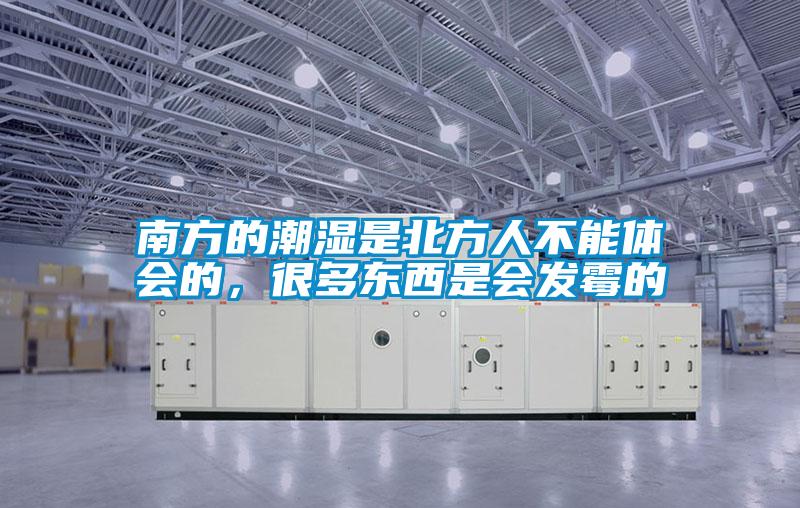 南方的潮濕是北方人不能體會(huì)的，很多東西是會(huì)發(fā)霉的