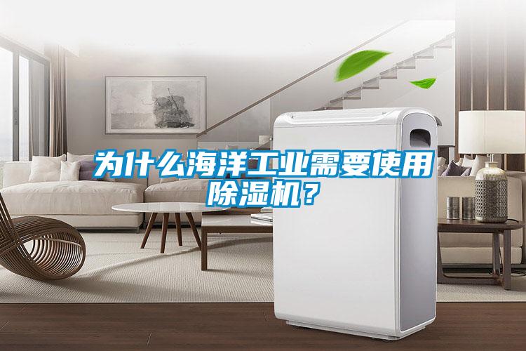為什么海洋工業需要使用除濕機？
