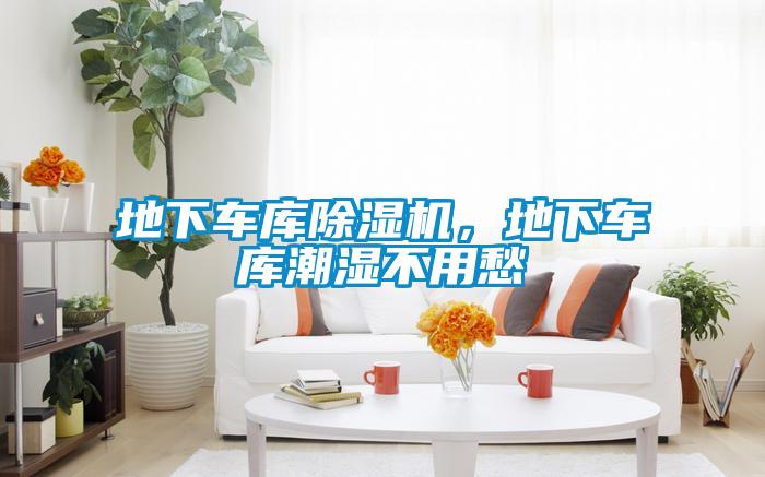 地下車庫除濕機，地下車庫潮濕不用愁