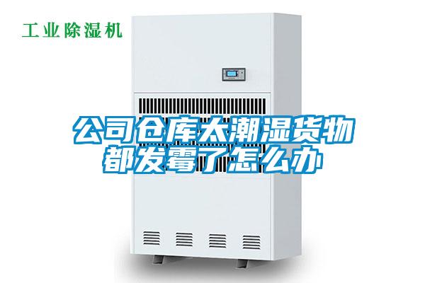 公司倉庫太潮濕貨物都發霉了怎么辦