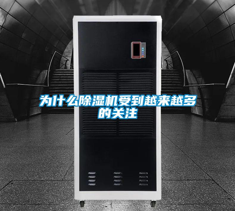 為什么除濕機受到越來越多的關注