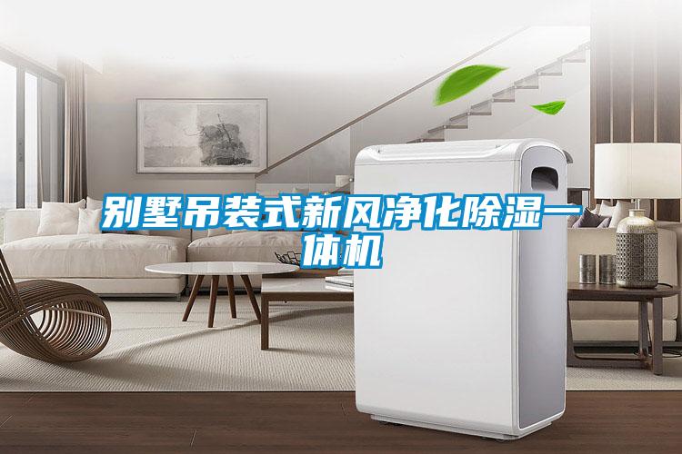 別墅吊裝式新風凈化除濕一體機