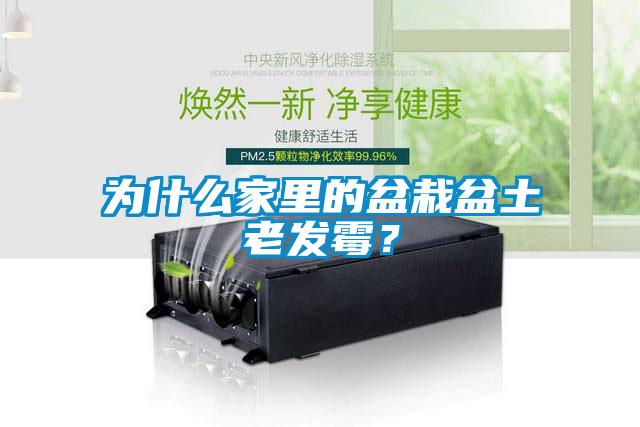為什么家里的盆栽盆土老發(fā)霉？