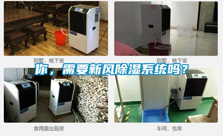 你，需要新風除濕系統嗎？