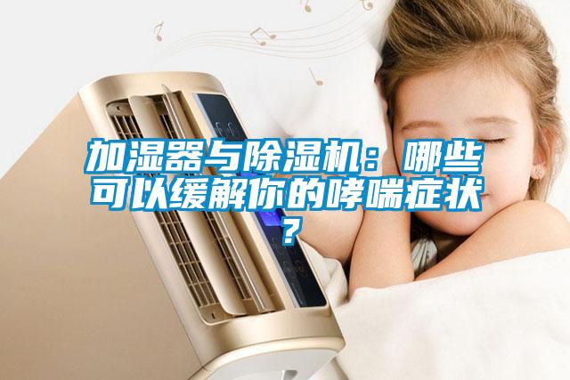 加濕器與除濕機：哪些可以緩解你的哮喘癥狀？