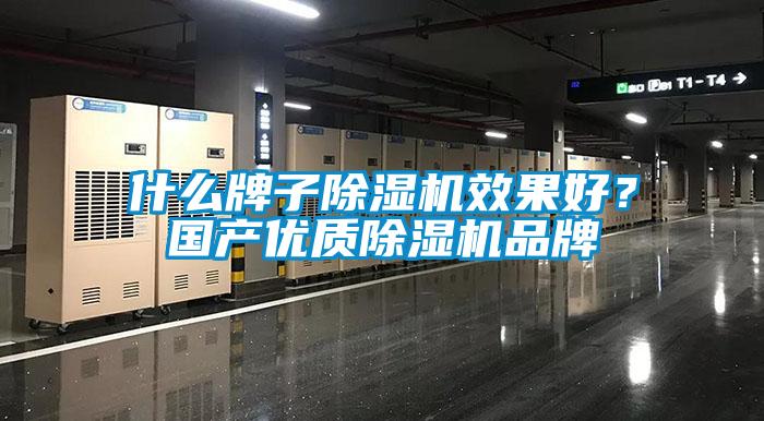 什么牌子除濕機效果好？國產優質除濕機品牌