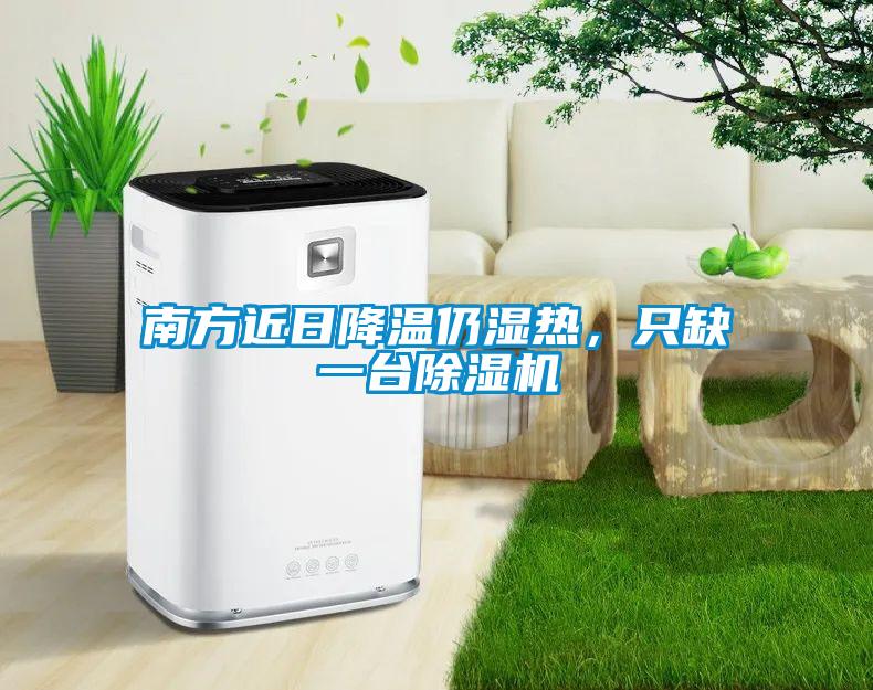 南方近日降溫仍濕熱，只缺一臺除濕機