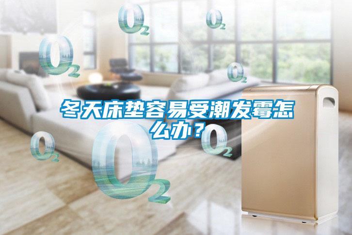 冬天床墊容易受潮發霉怎么辦？