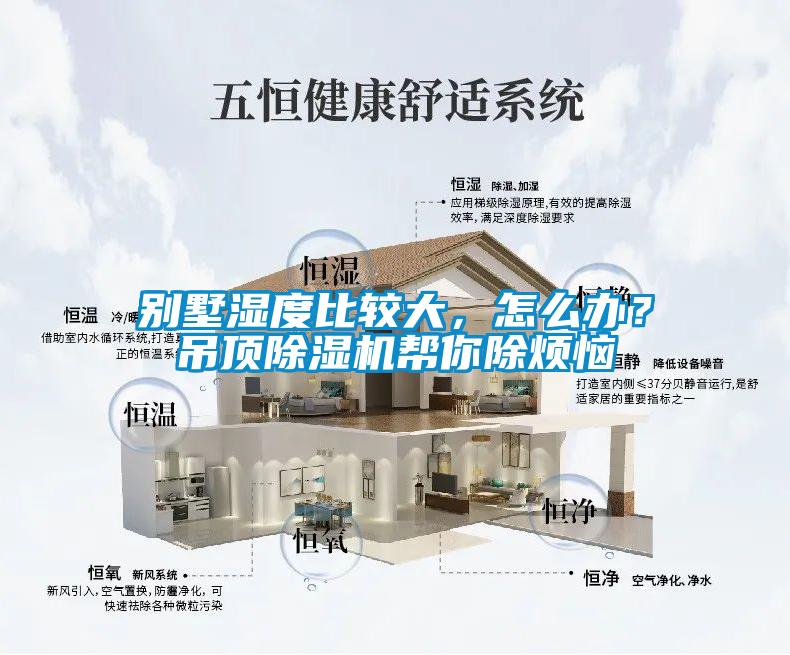 別墅濕度比較大，怎么辦？吊頂除濕機幫你除煩惱