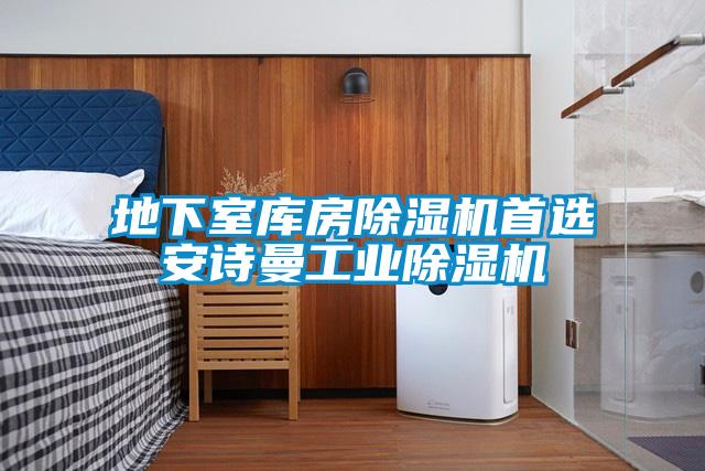 地下室庫房除濕機首選安詩曼工業除濕機