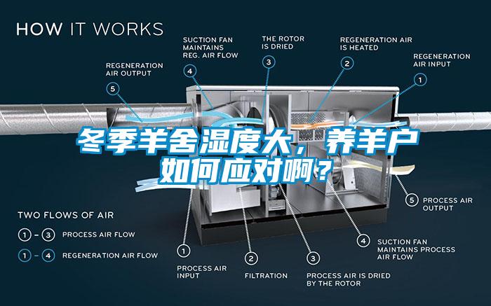 冬季羊舍濕度大，養羊戶如何應對啊？