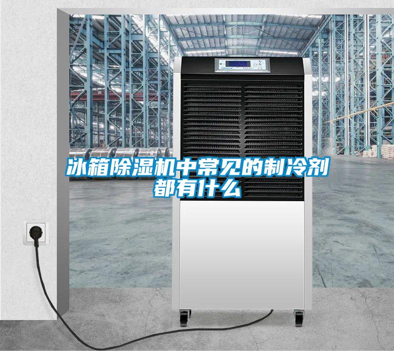 冰箱除濕機(jī)中常見(jiàn)的制冷劑都有什么