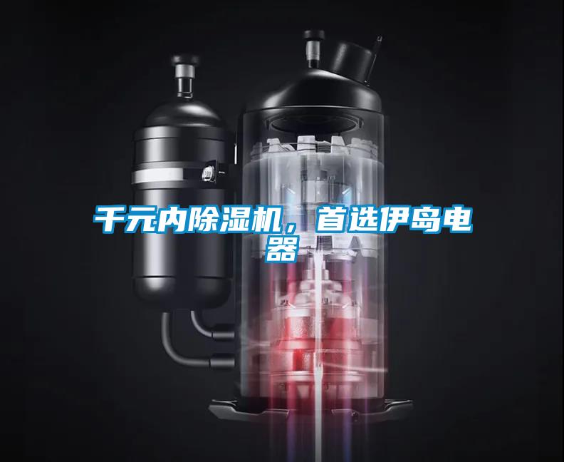 千元內(nèi)除濕機(jī)，首選伊島電器