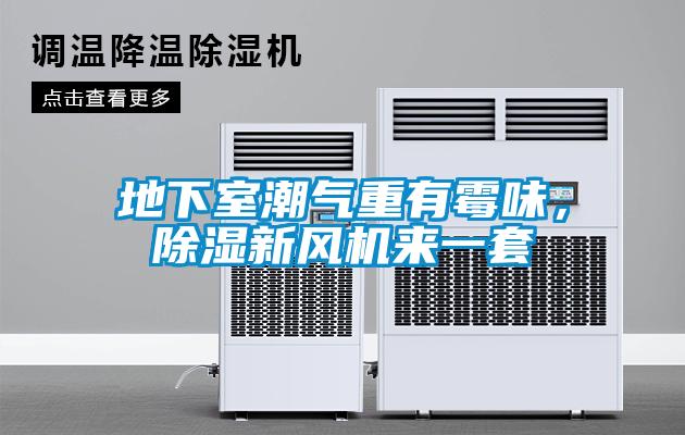 地下室潮氣重有霉味，除濕新風機來一套