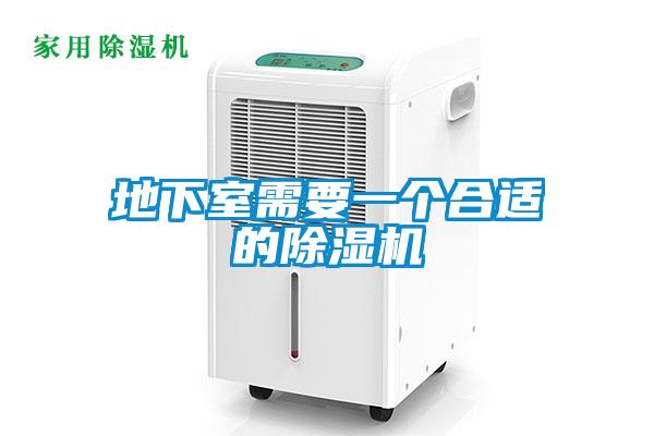 地下室需要一個合適的除濕機