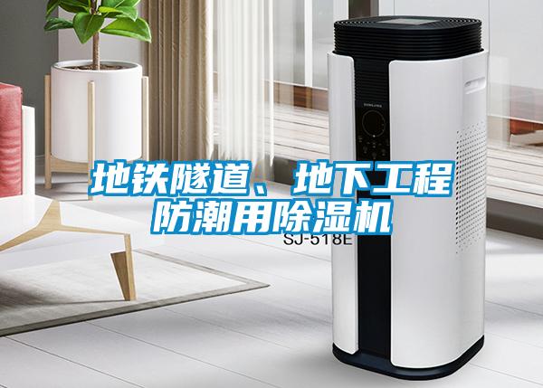 地鐵隧道、地下工程防潮用除濕機(jī)