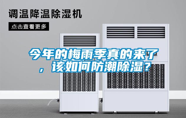 今年的梅雨季真的來了，該如何防潮除濕？