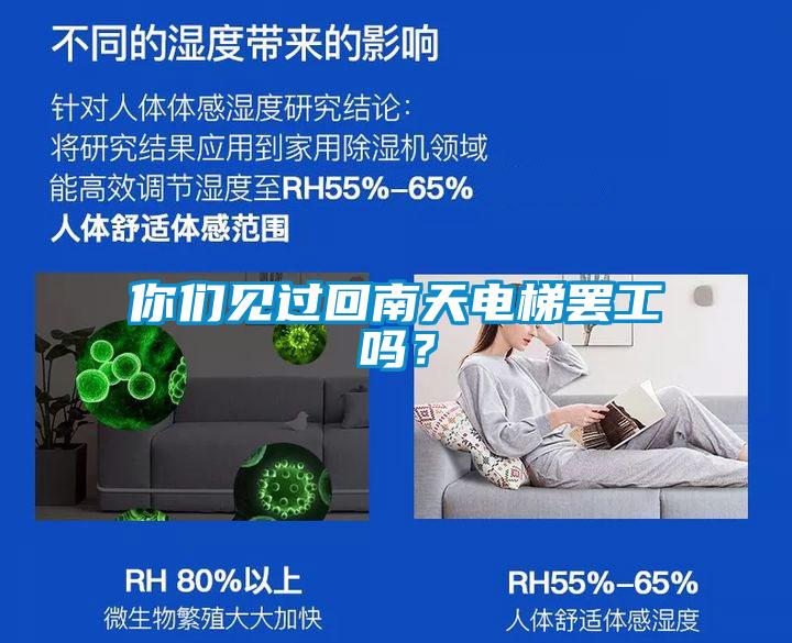 你們見過回南天電梯罷工嗎？