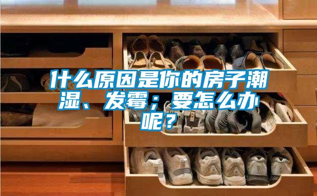 什么原因是你的房子潮濕、發霉；要怎么辦呢？