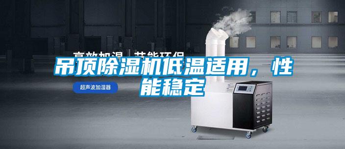 吊頂除濕機低溫適用，性能穩定