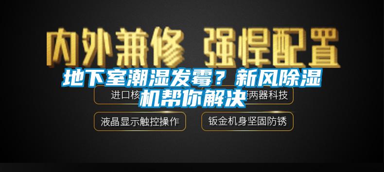 地下室潮濕發霉？新風除濕機幫你解決