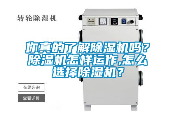 你真的了解除濕機嗎？除濕機怎樣運作,怎么選擇除濕機？