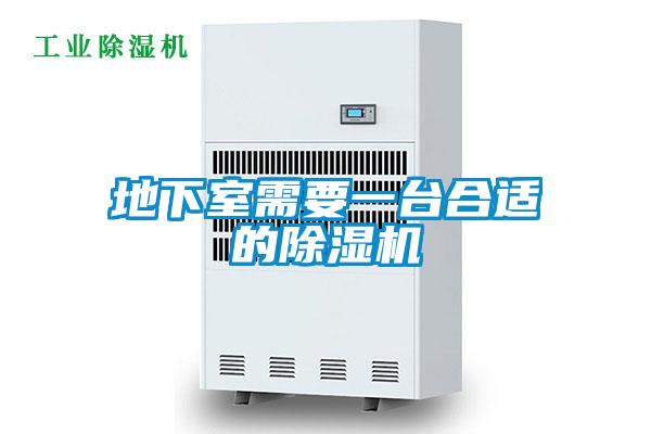 地下室需要一臺(tái)合適的除濕機(jī)
