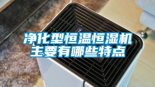 凈化型恒溫恒濕機主要有哪些特點