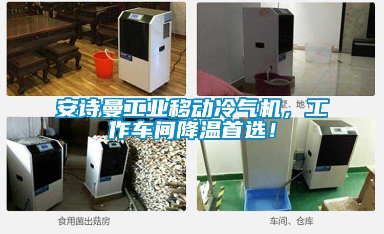 安詩(shī)曼工業(yè)移動(dòng)冷氣機(jī)，工作車(chē)間降溫首選！