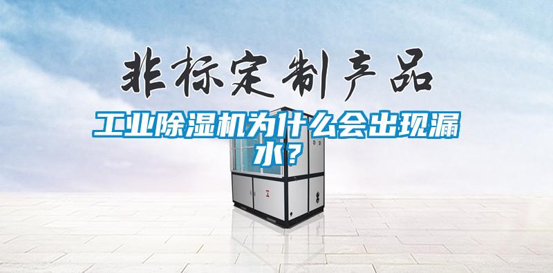 工業(yè)除濕機(jī)為什么會(huì)出現(xiàn)漏水？