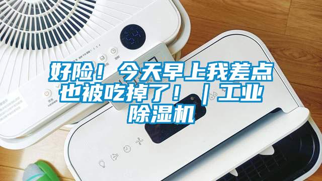 好險(xiǎn)！今天早上我差點(diǎn)也被吃掉了！｜工業(yè)除濕機(jī)