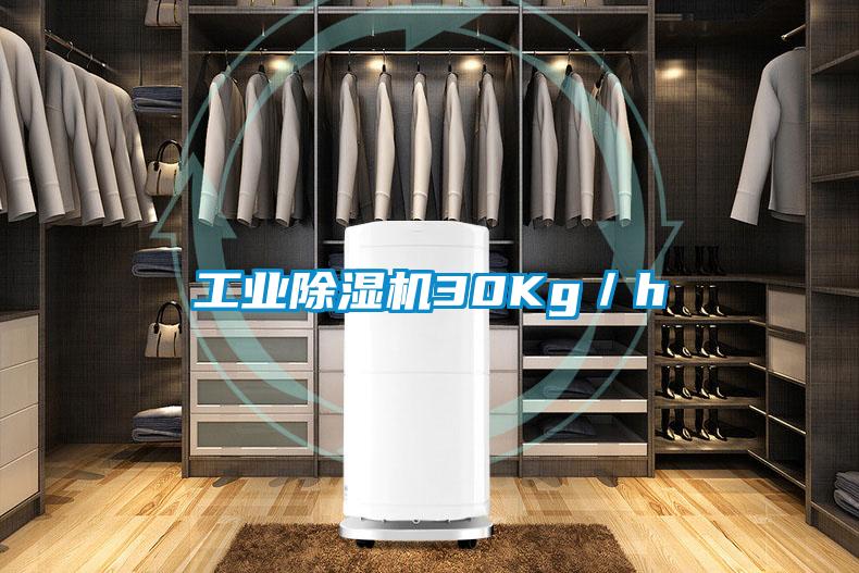 工業除濕機30Kg／h