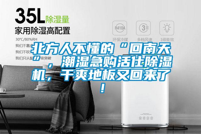 北方人不懂的“回南天”，潮濕急購活仕除濕機，干爽地板又回來了！