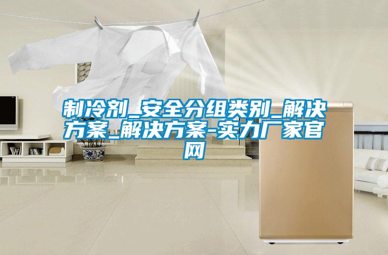 制冷劑_安全分組類別_解決方案_解決方案-實(shí)力廠家官網(wǎng)