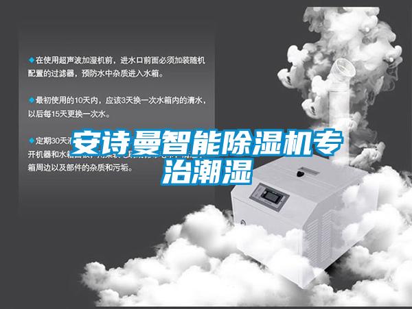 安詩(shī)曼智能除濕機(jī)專治潮濕