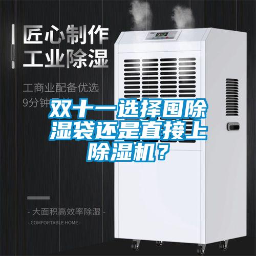 雙十一選擇囤除濕袋還是直接上除濕機？